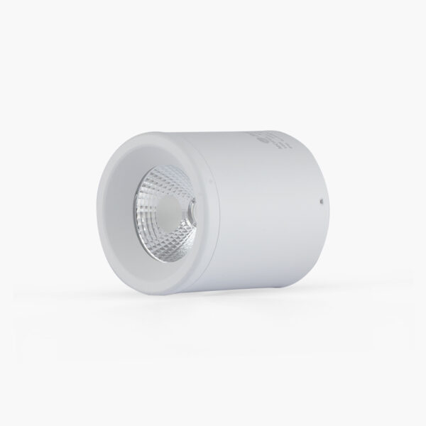 Đèn Downlight nổi trần trang trí NT01 110/10W Rạng Đông