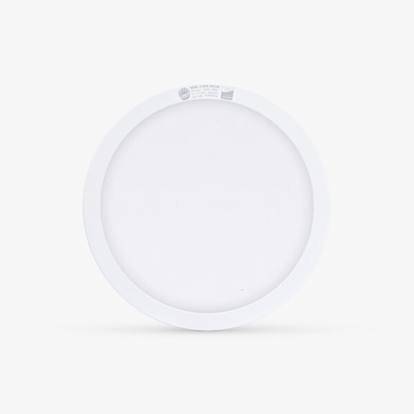 Đèn LED ốp trần tròn LN09 300/24W Rạng Đông