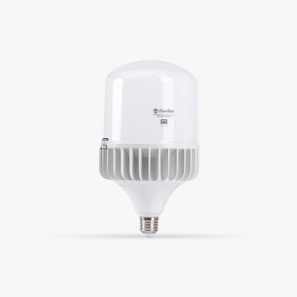 Bóng đèn LED Bulb trụ nhôm đúc 20W TR80NĐ2/20W.H Rạng Đông